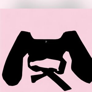 Elegant Black Women's long sleeve cropped top